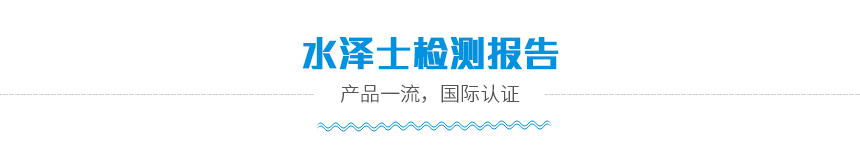 檢測報告